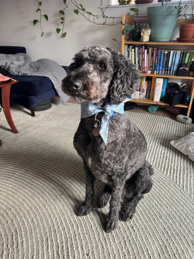 All Photos for Down Dog Yoga in Boston, MA