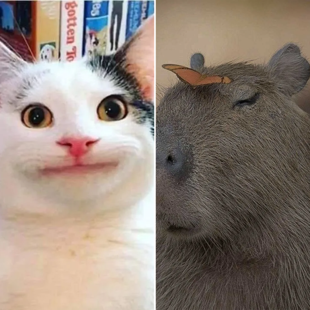 All Photos for Down Dog Yoga in Boston, MA