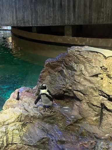 All Photos for Down Dog Yoga in Boston, MA