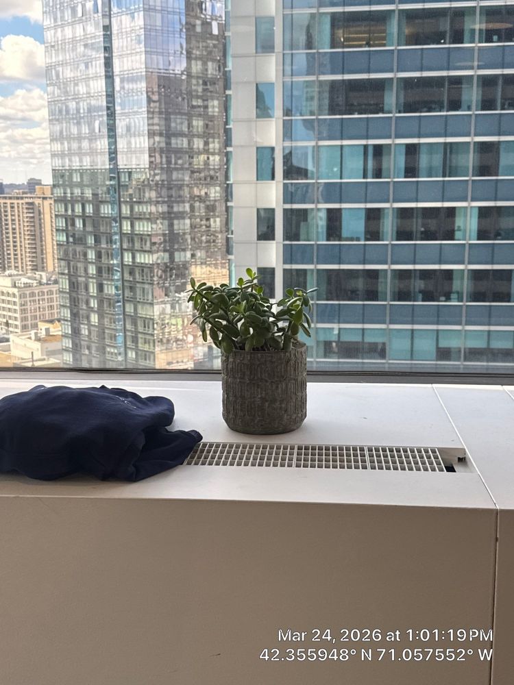 All Photos for Strange Cool Auto Detailing in Hartford, CT