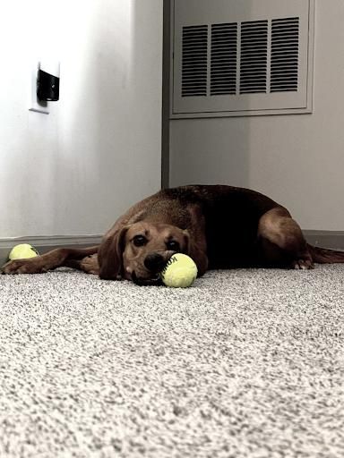 All Photos for Down Dog Yoga in Boston, MA