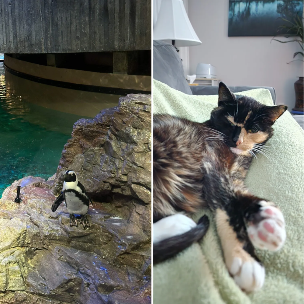 All Photos for Down Dog Yoga in Boston, MA