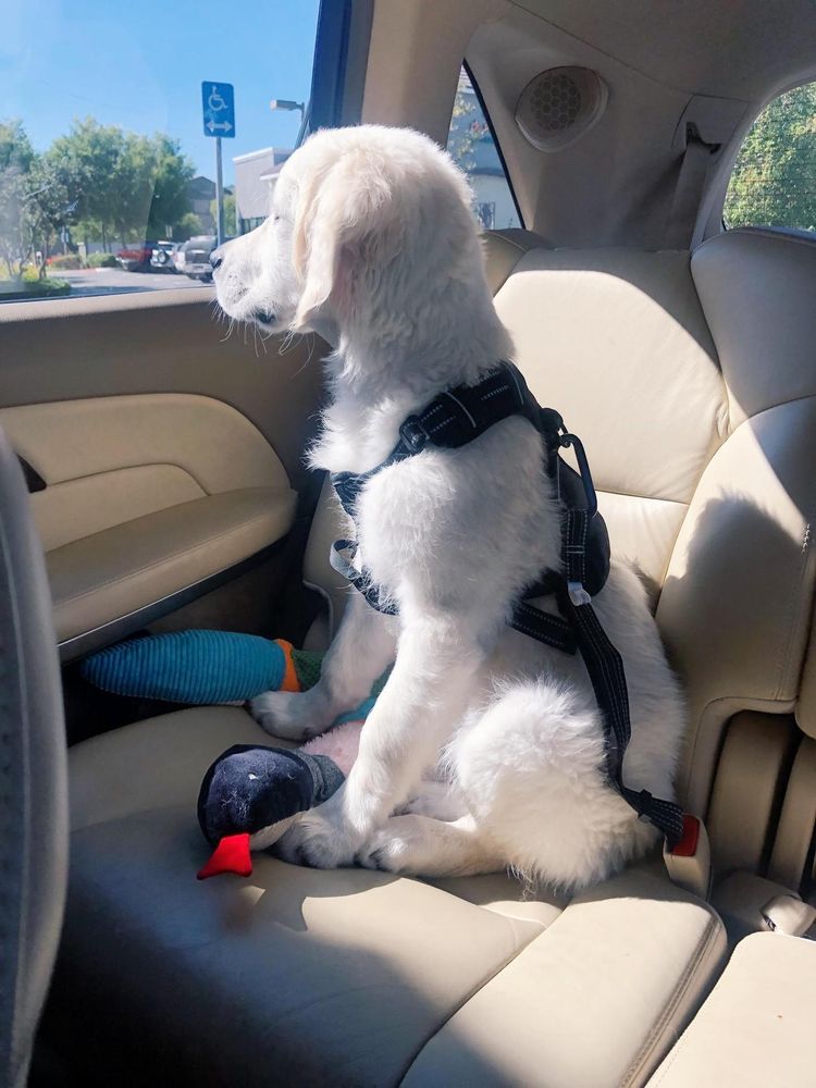 All Photos for Gallagher's Plastering Inc Here For Life in Providence, RI