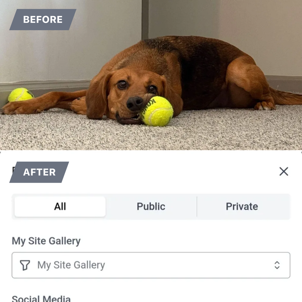 All Photos for Gallagher's Plastering Inc Here For Life in Providence, RI