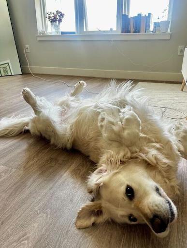 All Photos for Down Dog Yoga in Boston, MA