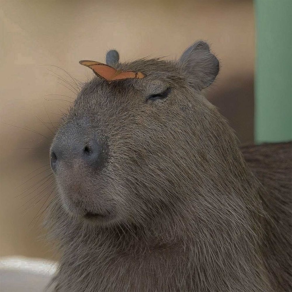 All Photos for Down Dog Yoga in Boston, MA