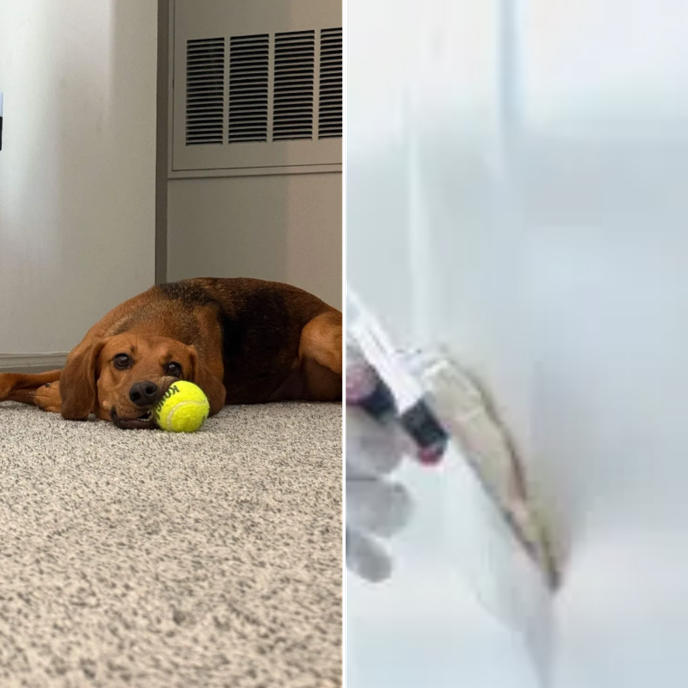 All Photos for Down Dog Yoga in Boston, MA