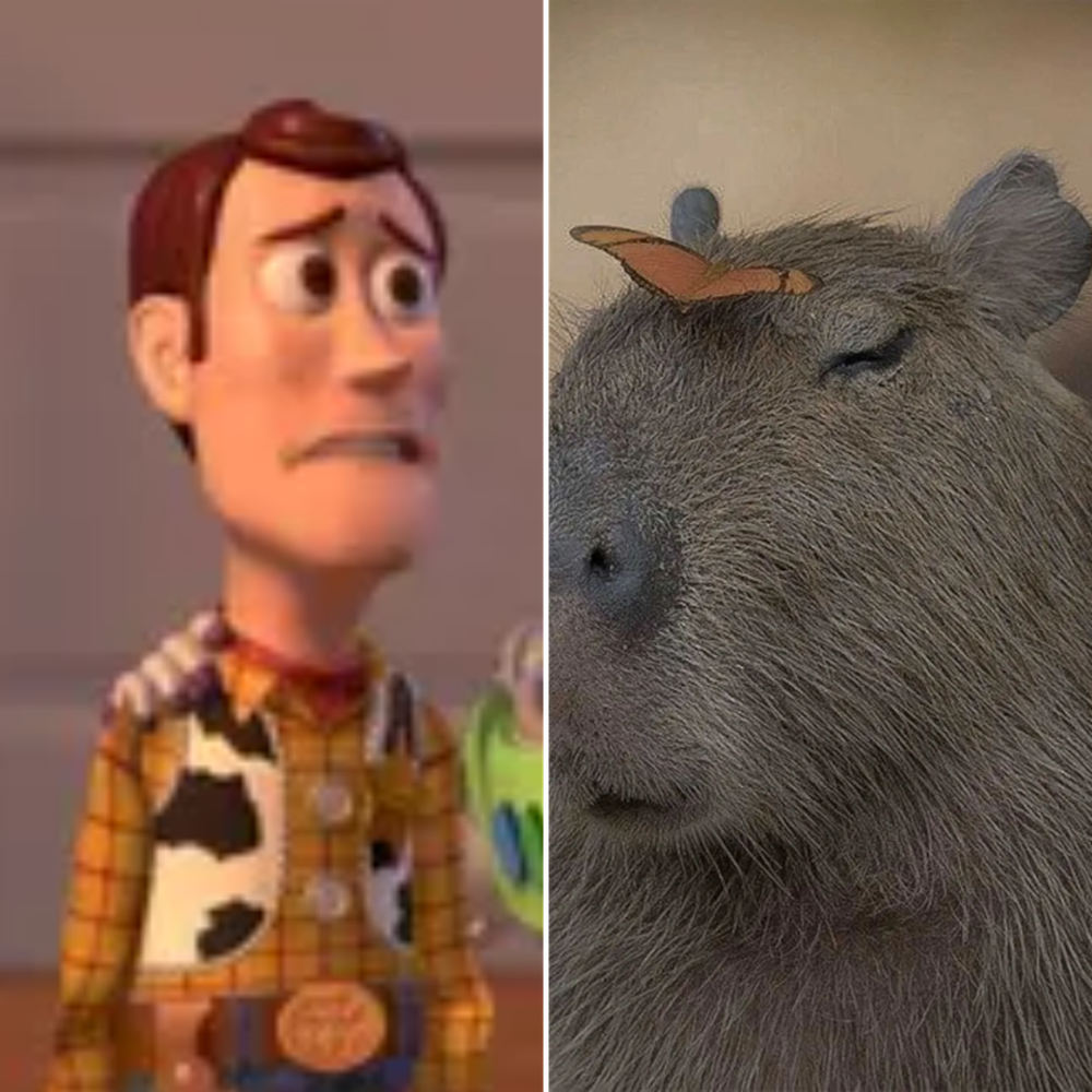 All Photos for Down Dog Yoga in Boston, MA