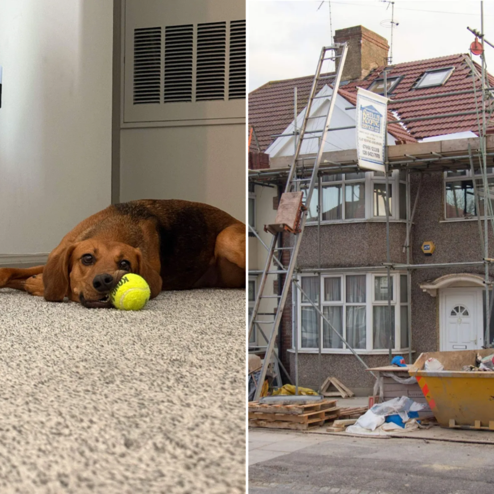 All Photos for Gallagher's Plastering Inc Here For Life in Providence, RI