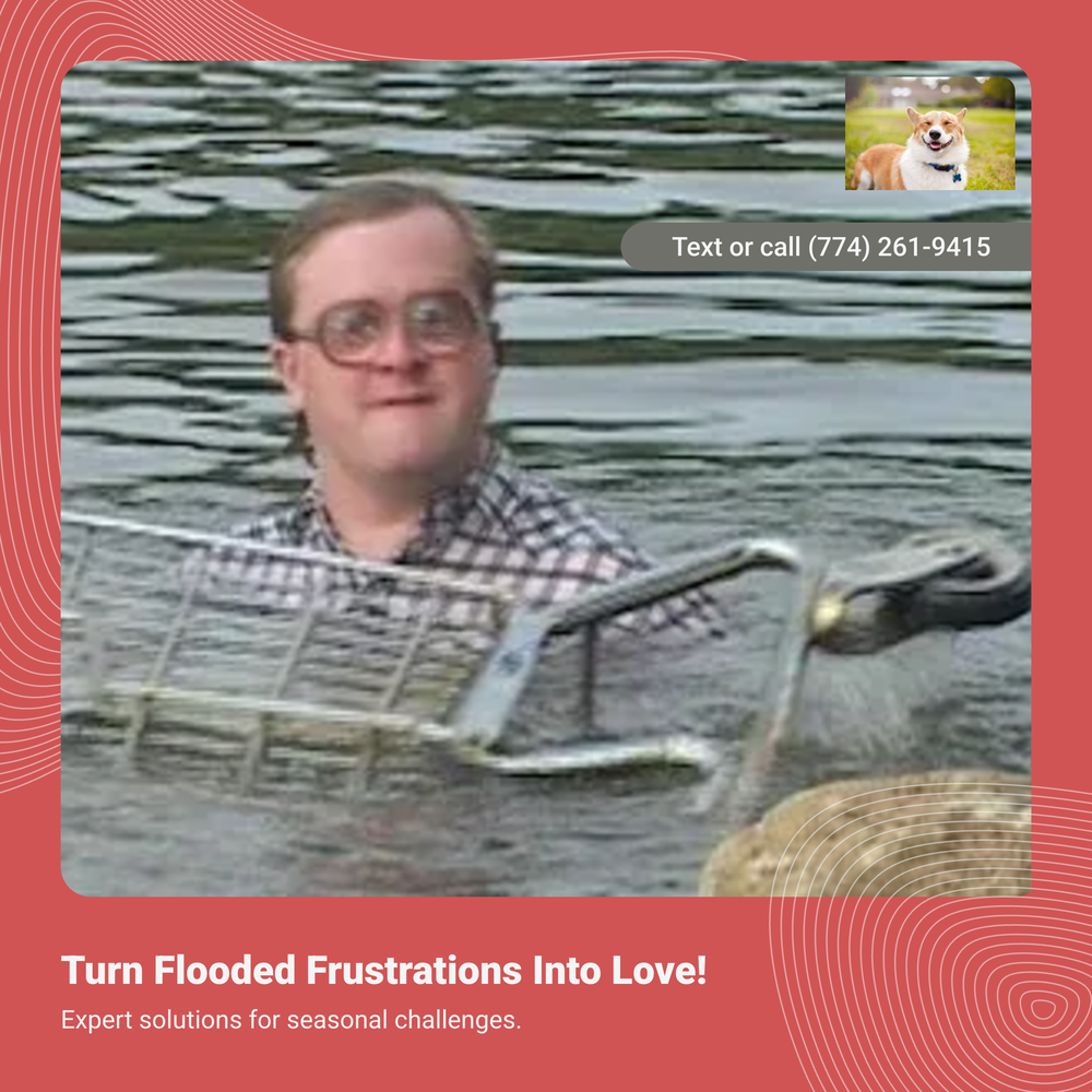 All Photos for Strange Soles in South Boston, MA