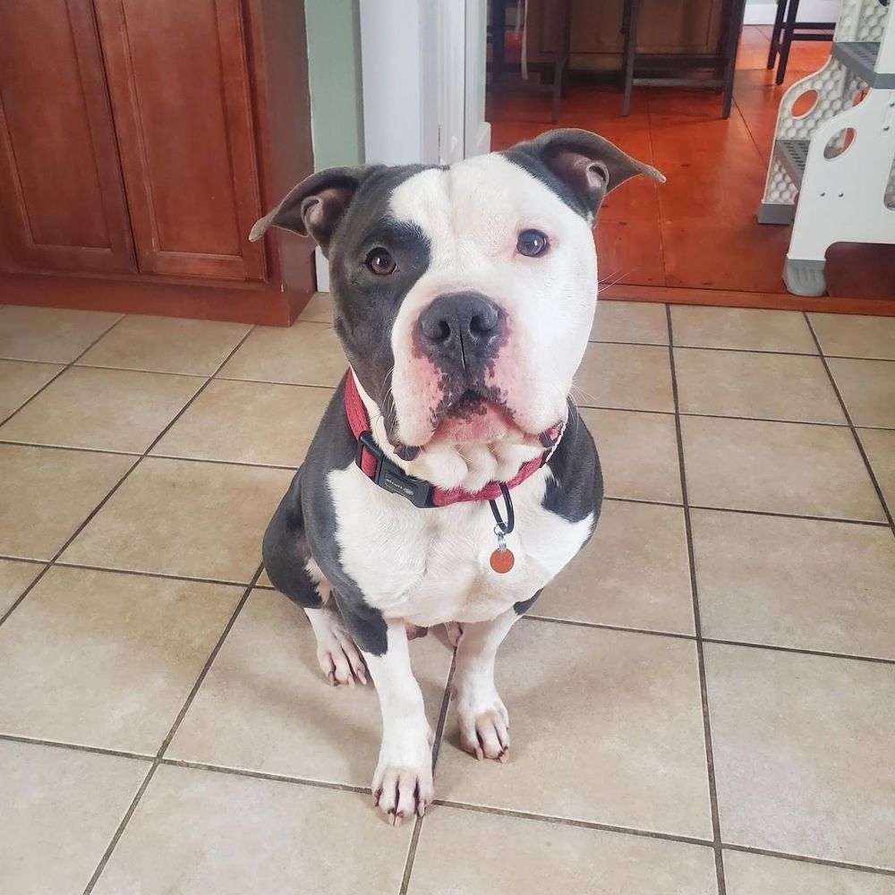 All Photos for Down Dog Yoga in Boston, MA