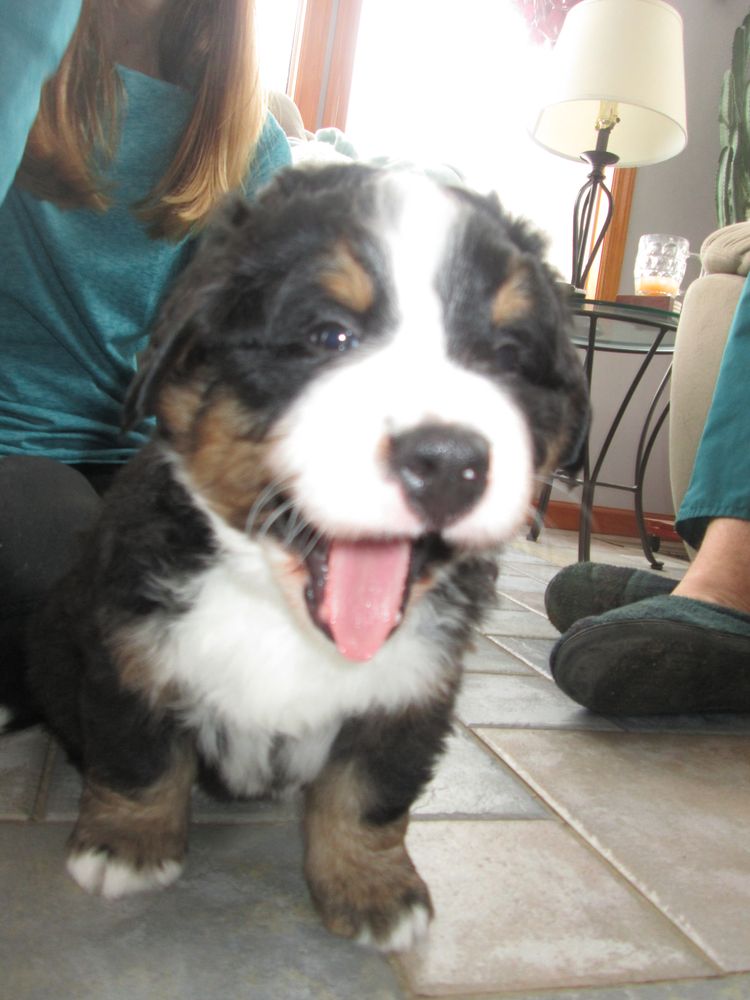 All Photos for Strange Soles in South Boston, MA