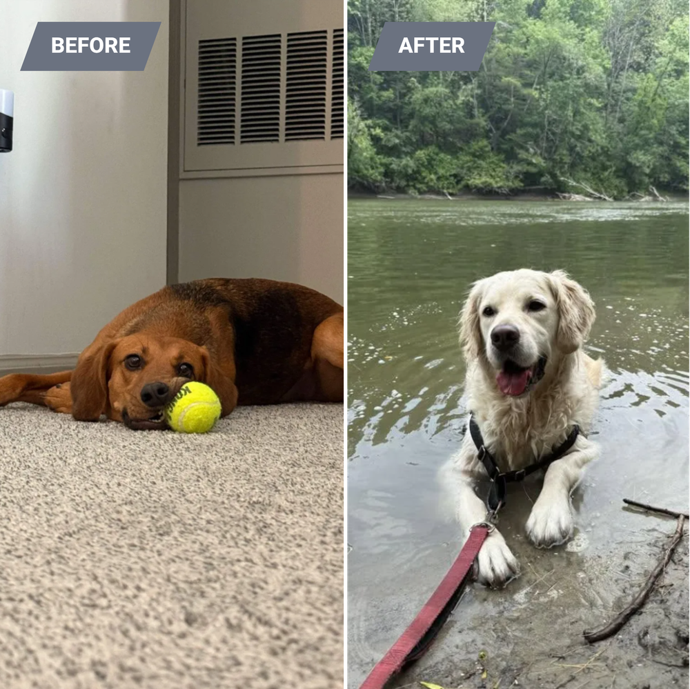 All Photos for Gallagher's Plastering Inc Here For Life in Providence, RI