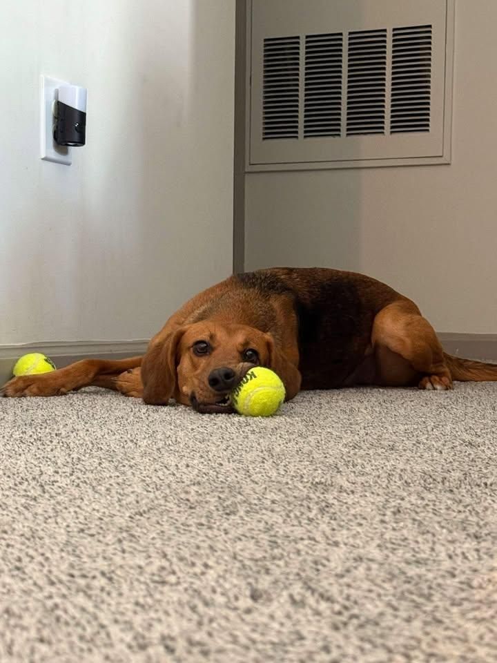 All Photos for Strange Soles in South Boston, MA