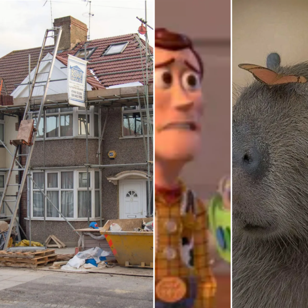 All Photos for Down Dog Yoga in Boston, MA