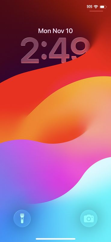 Elevating Spaces with Gallagher's Pristine Tree Services