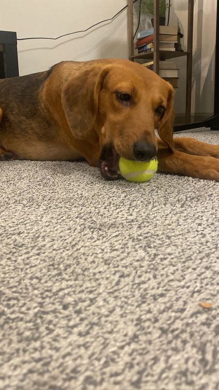 Tenant Screening Services Gallery