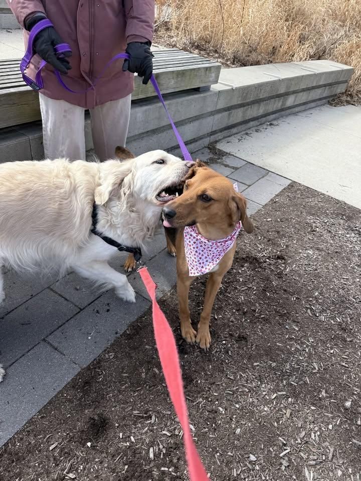  for COMPANY NAME in Boston, MA