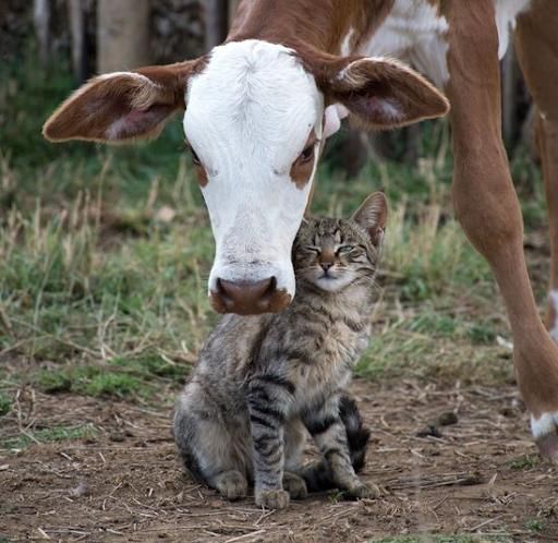  for Gallagher's Plastering Inc Here For Life in Providence, RI