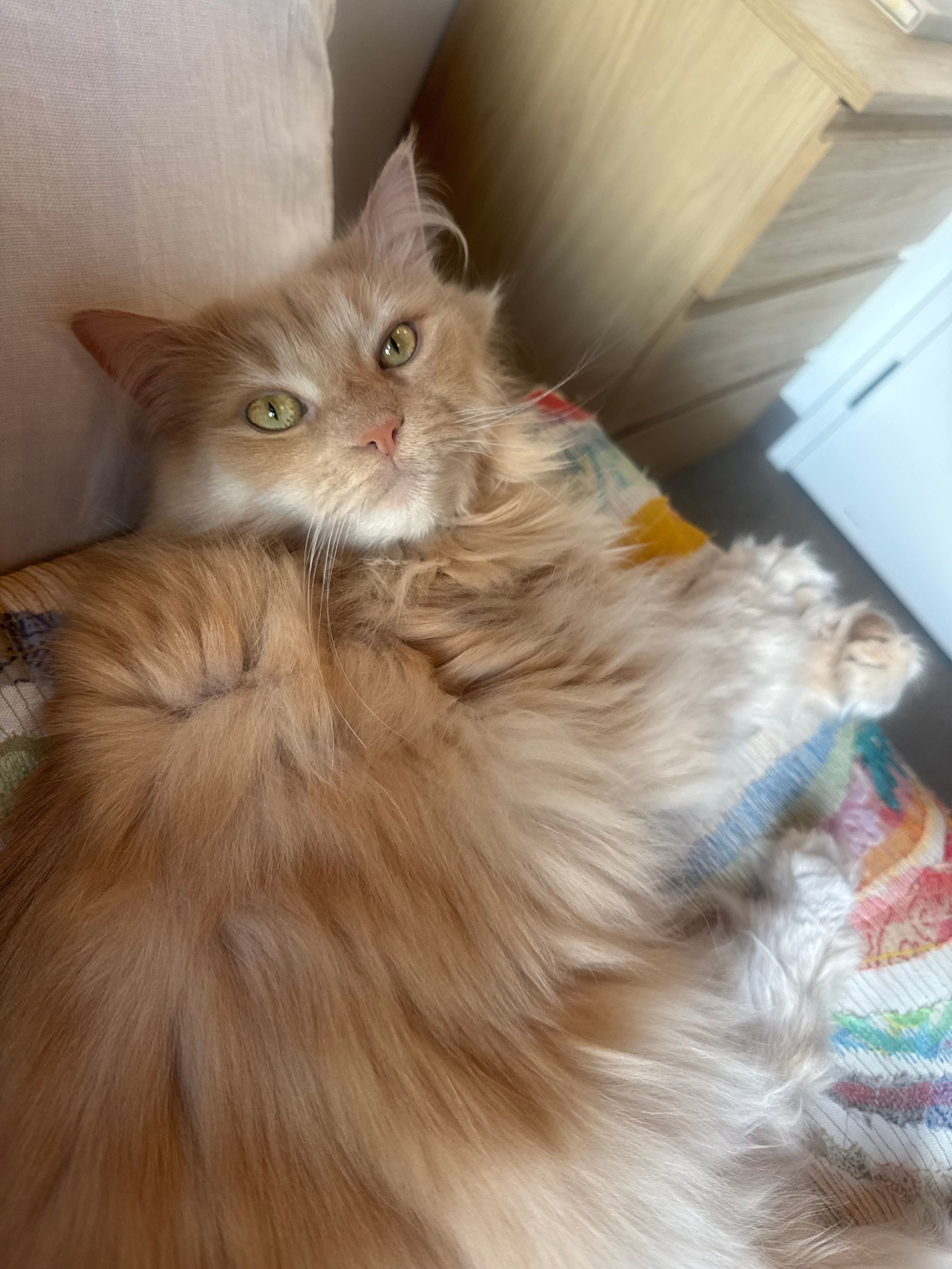  for Strange Soles in South Boston, MA