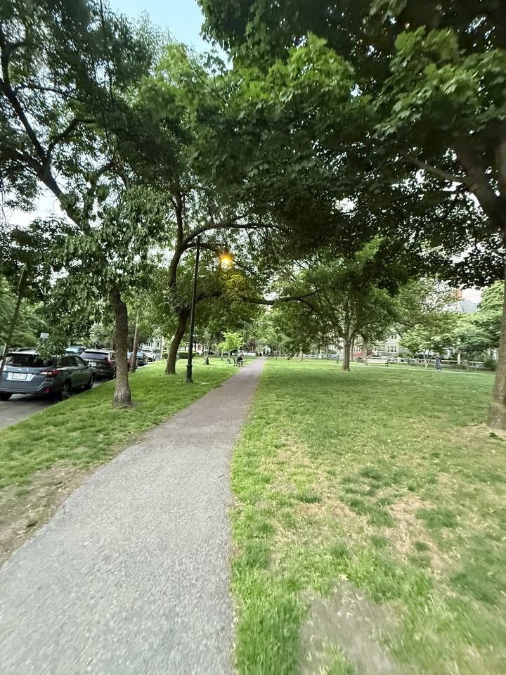  for Gallagher's Plastering! in Providence, RI