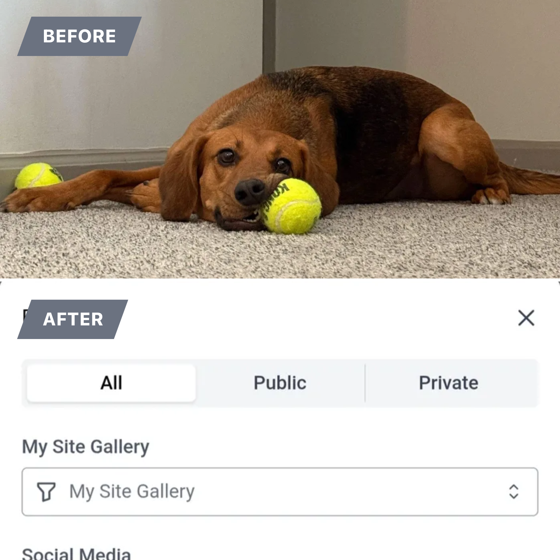  for Gallagher's Plastering Inc Here For Life in Providence, RI