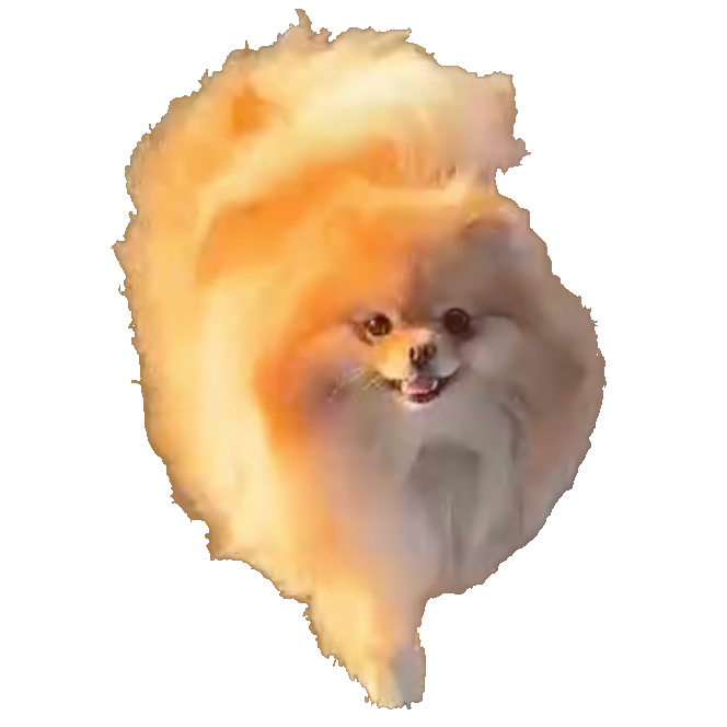  for Gallagher's Plastering Inc Here For Life in Providence, RI