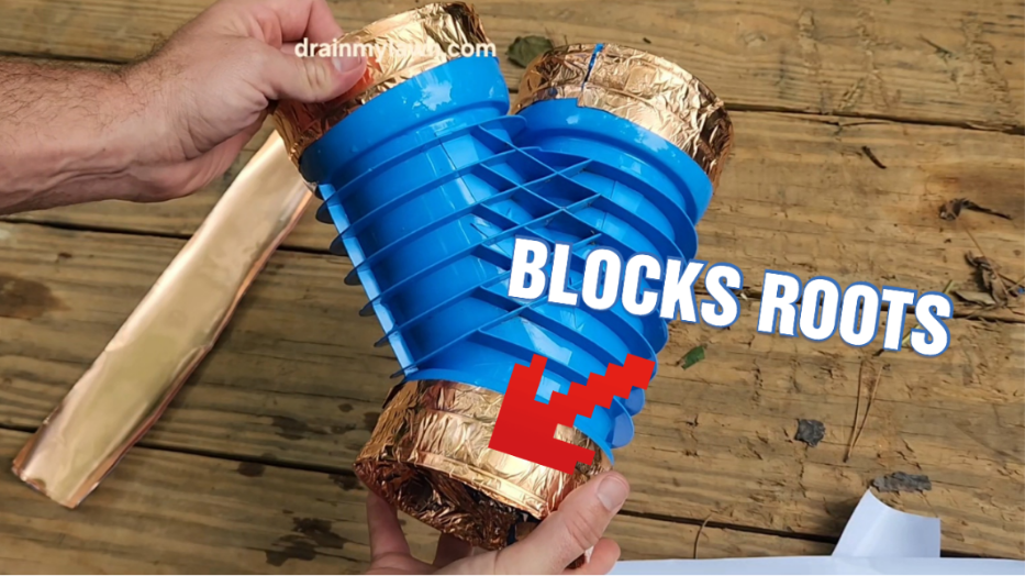  for Strange Soles in South Boston, MA