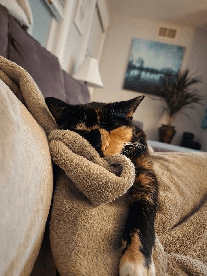  for Strange Cool Auto Detailing in Hartford, CT