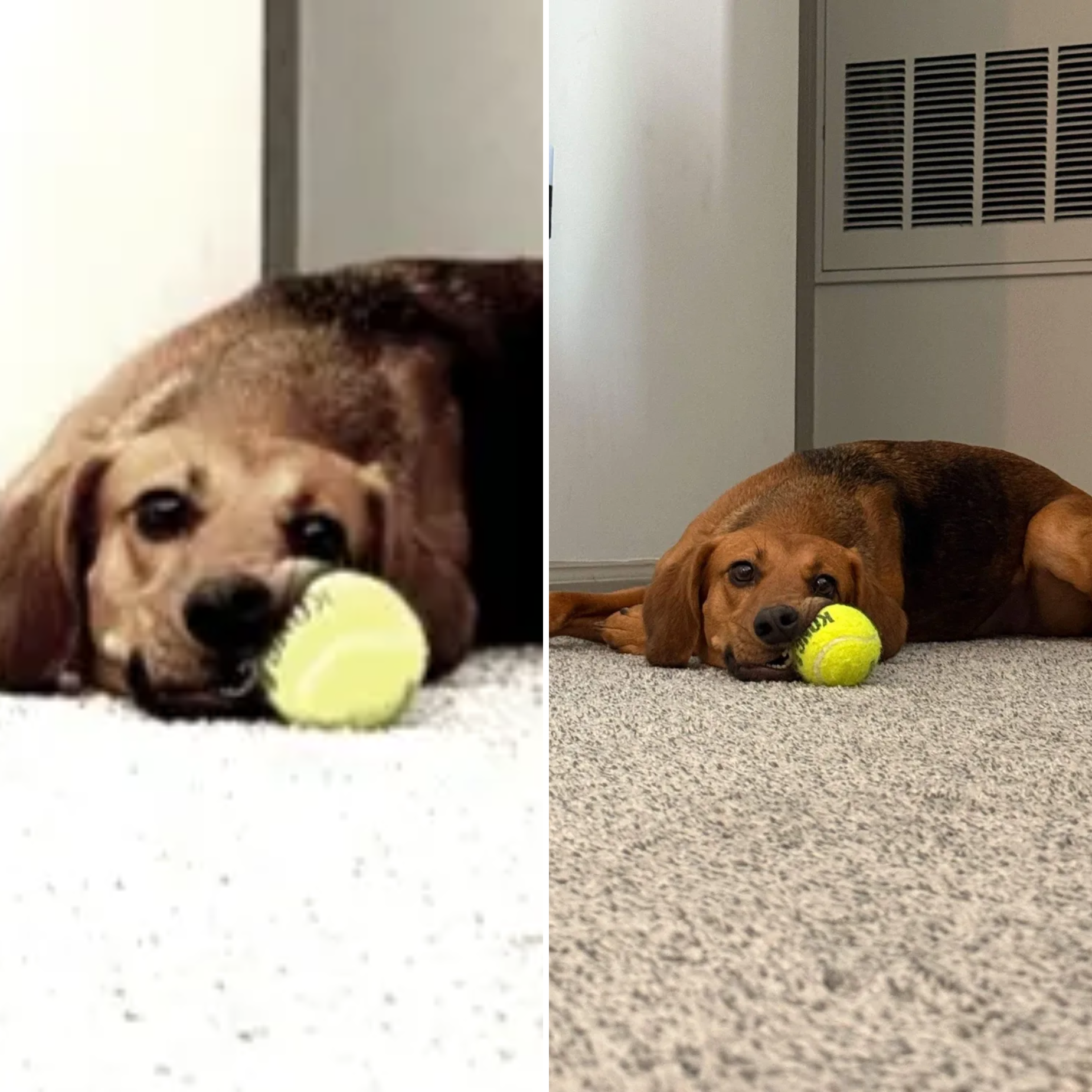  for Gallagher's Plastering Inc Here For Life in Providence, RI