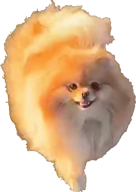  for Gallagher's Plastering Inc Here For Life in Providence, RI