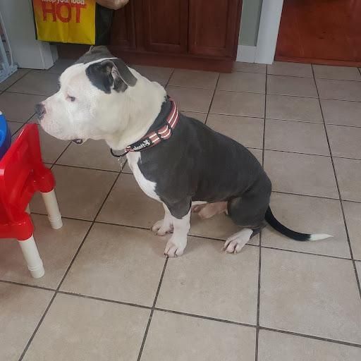  for Down Dog Yoga in Boston, MA