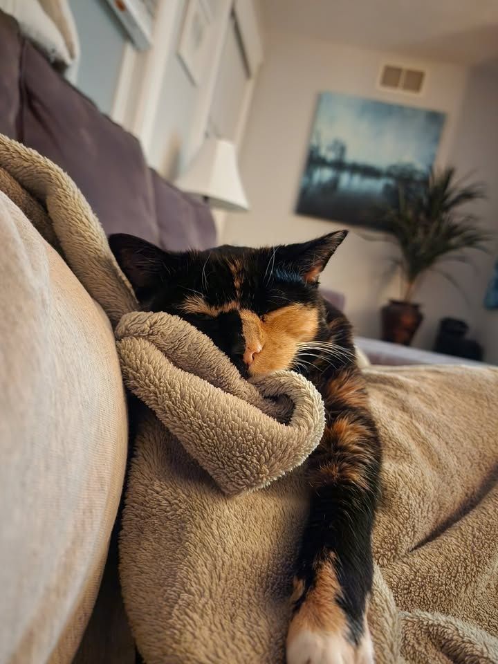  for Strange Cool Auto Detailing in Hartford, CT